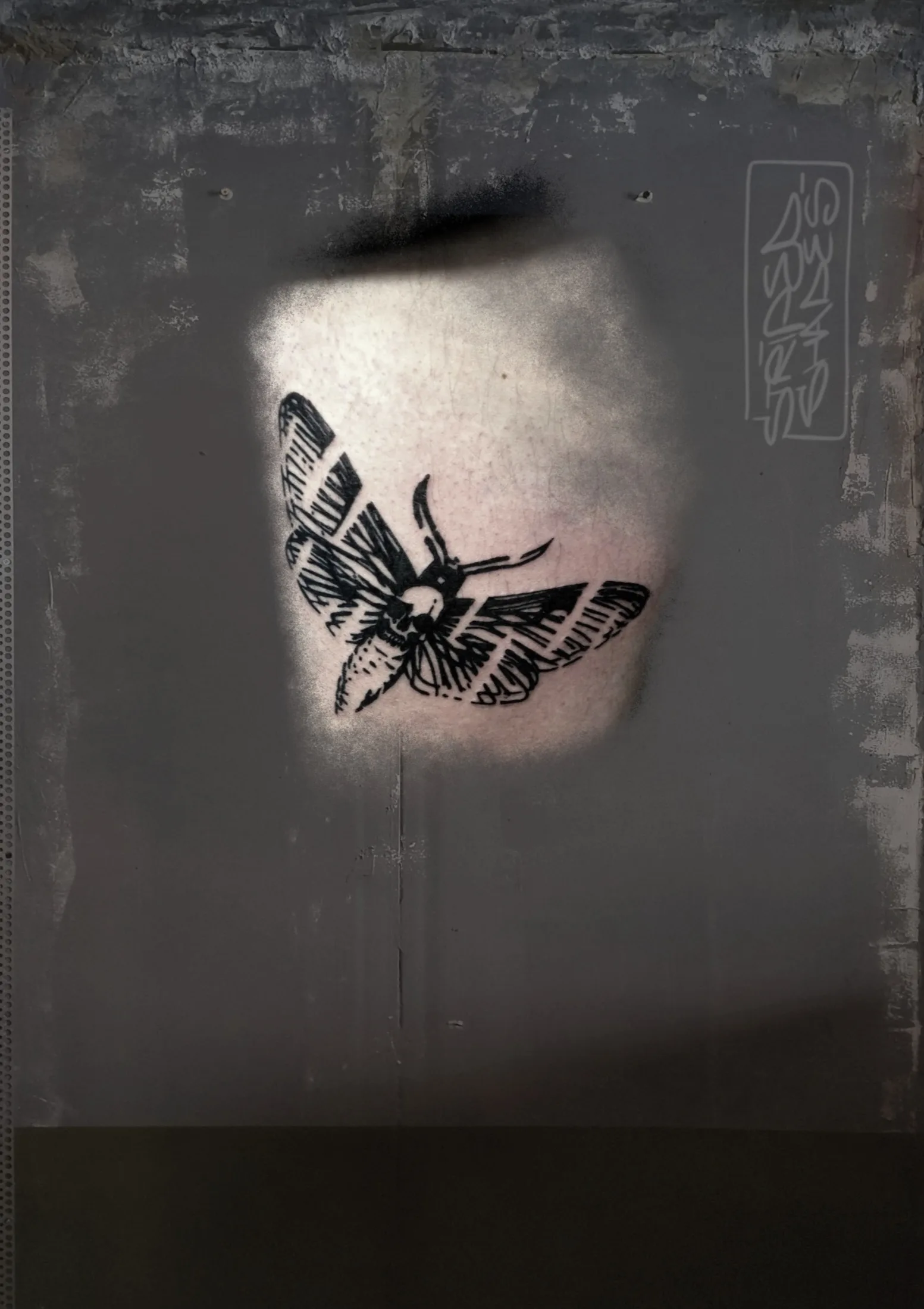 Deaths Head Moth Tattoo in Bold Blackwork, by striped_shades