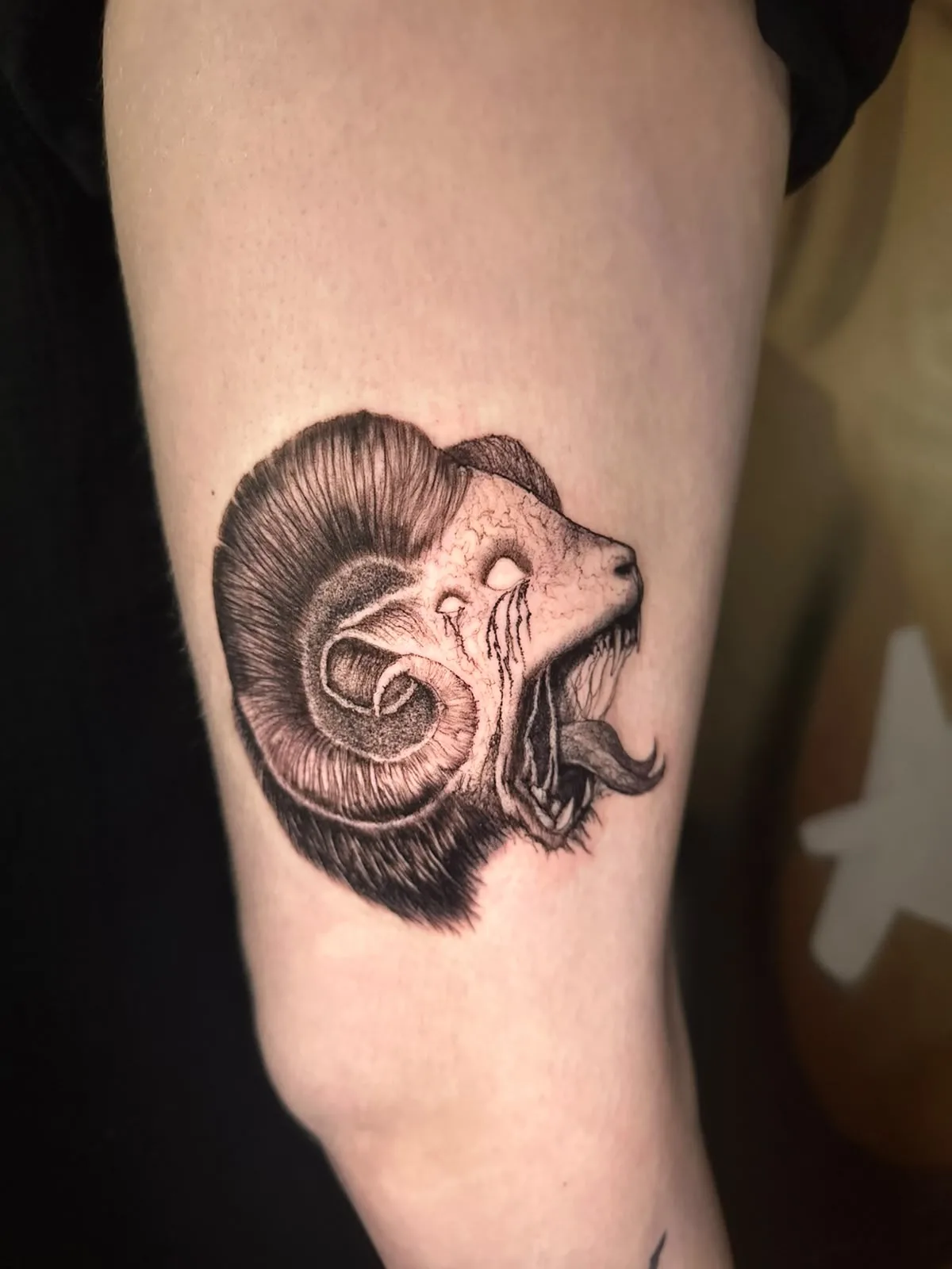 Undead Ram Skull Tattoo in Black and Grey, by TattooBas1