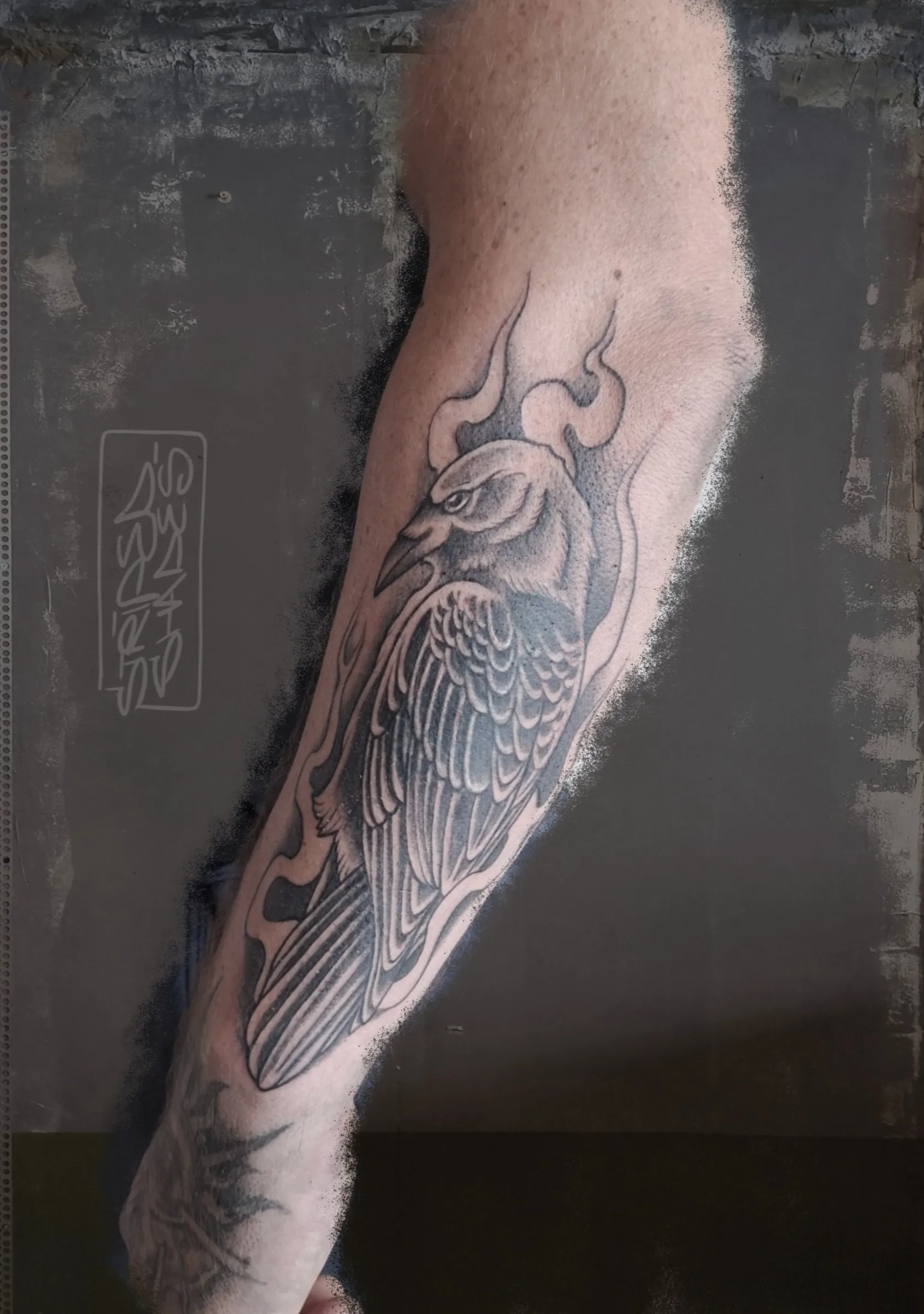 Black and Grey Raven with Flame Backdrop, by striped_shades